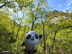 -大岭沟猕猴桃谷风景区