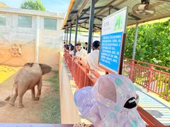 -西霞口神雕山野生动物世界