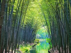 -同里国家湿地公园