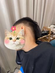 -东方美妍