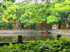 -阿育王寺