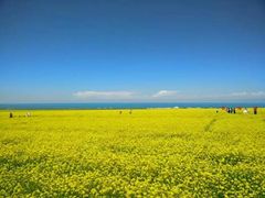 -青海湖国家重点风景名胜区