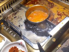 -蜀九鼎毛肚火锅(惠安店)