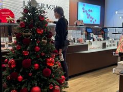 -Laderach 莱德拉(上海环贸iapm店)