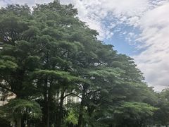 -晓港公园