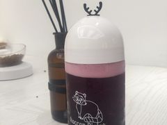 -浣熊柯尔鸭土拨鼠·电玩咖