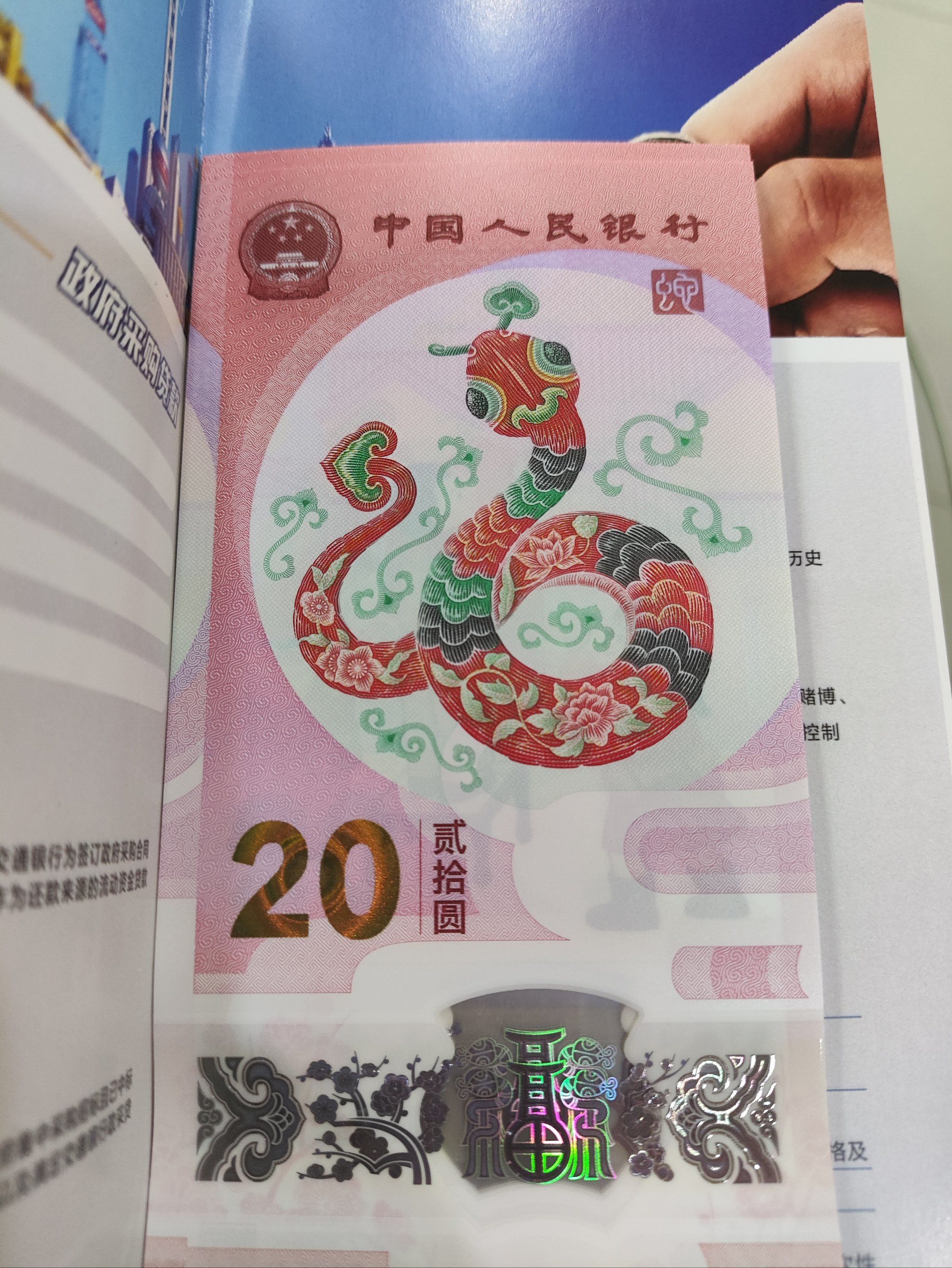 生肖蛇2025年运势官印(蛇人2025年运势完整版)