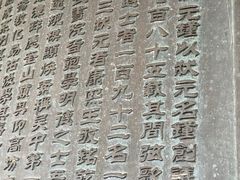 -汇龙潭
