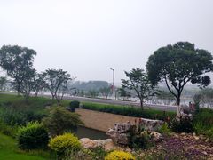 -羊山湖公园