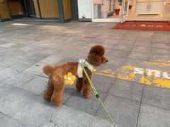 -悦宠凯宝动物医院·牙科·皮肤科(朝阳北路店)