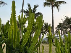 -大梅沙海滨公园