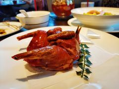 玻璃乳鸽-甄御•海鲜新青岛菜(麦岛店)