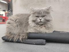 -Vamos巴猫司健身中心(五角场店)