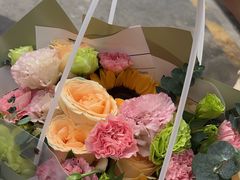 -曲阳花鸟市场(曲阳路店)