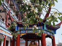 -章华寺