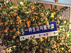 -古文化街旅游区