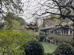 -杭州黄龙洞