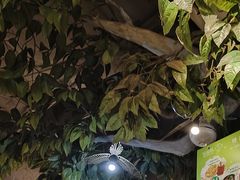 -仙踪林(惠润广场店)