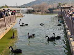 -无锡动物园·太湖欢乐园
