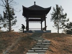 -马家湾湿地公园