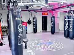 -花环泰拳·勒德斯拉泰拳馆(静安店)