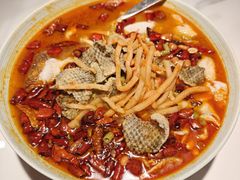-禄鼎记·排队俩小时都要吃的酸菜鱼(石牌桥店)