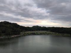 -东莞植物园
