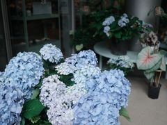 -海底捞火锅(铂澜大象城店)