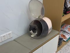 -瑞派康怡24h宠物医院·犬猫医疗中心·微创绝育(瑞景分院)