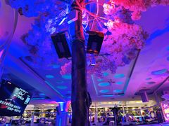 -巴特餐饮6加1音乐餐吧·新疆菜