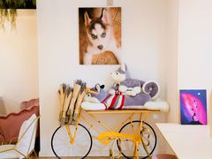 -Husky Go! 哈士奇体验馆·宠物咖啡厅狗咖