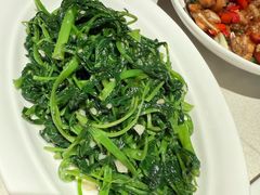 -芙蓉堂(武汉天地店)