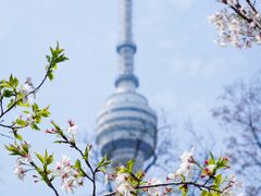 -龟山风景区-龟山电视塔