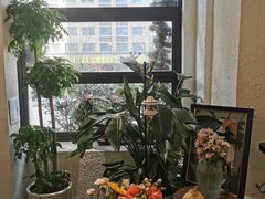 -Miss Q Family甜品·蛋糕·法甜咖啡