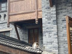 -重庆十八梯传统风貌区