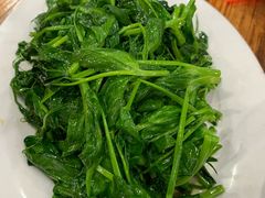 炒豌豆尖-雨田饭店(华兴东街店)