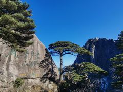 -黄山风景区