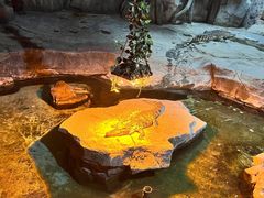 -泉城欧乐堡海洋极地世界