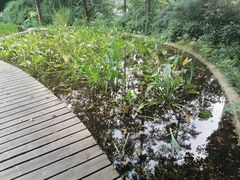 -成都市活水公园