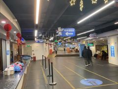 -世界之窗阿尔卑斯冰雪世界
