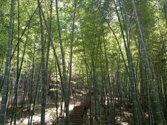 -南京市无想山景区