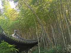 -龙井壹号·茶缘山景宴(龙井村店)