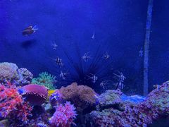 -成都浩海立方海洋公园