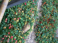 iphone_upload_pic-上海都市菜园
