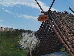 -霸王河欢乐世界