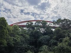 -金鸡山公园