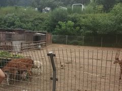 -北京山里寒舍度假酒店