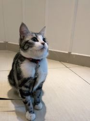 -长沙纹身·龙堂刺青·三土师傅的店