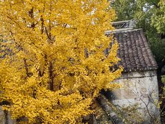 -惠山古镇·寄畅园