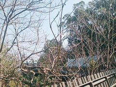 -福道